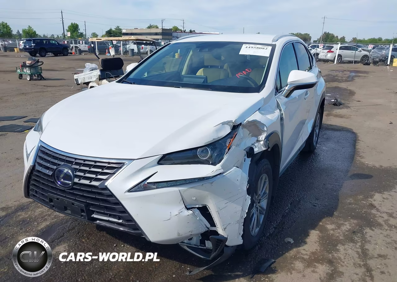 2021 Lexus Nx 300H VIN:JTJDJRDZ4M5011813 - 2