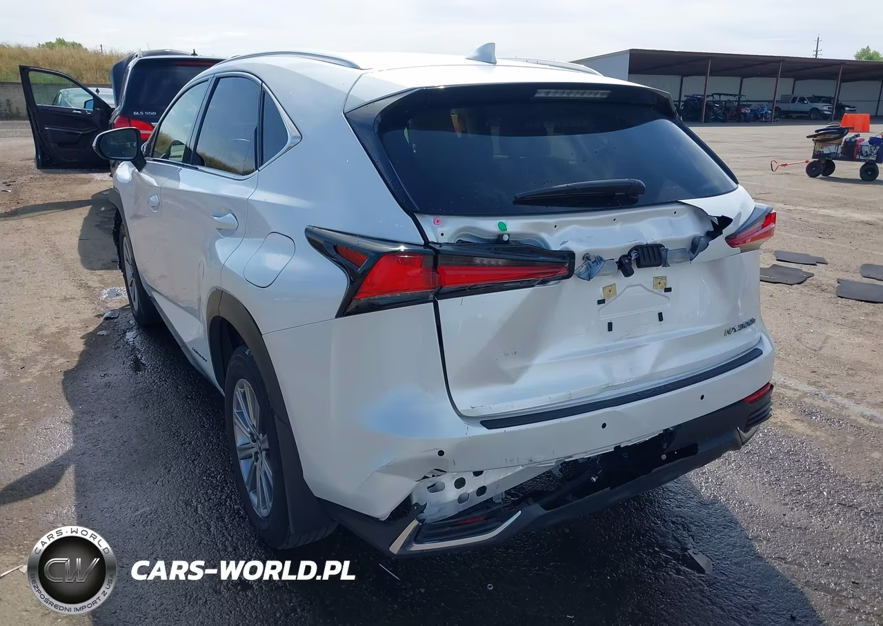 2021 Lexus Nx 300H VIN:JTJDJRDZ4M5011813 - 3