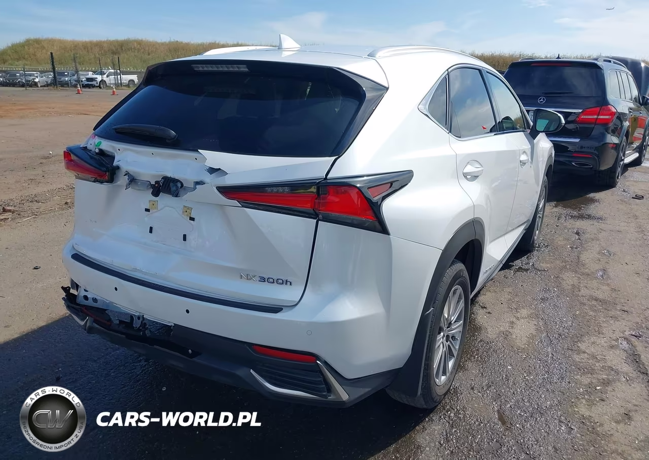 2021 Lexus Nx 300H VIN:JTJDJRDZ4M5011813 - 4