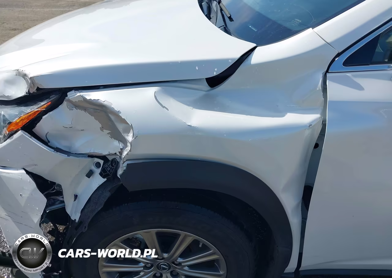 2021 Lexus Nx 300H VIN:JTJDJRDZ4M5011813 - 6