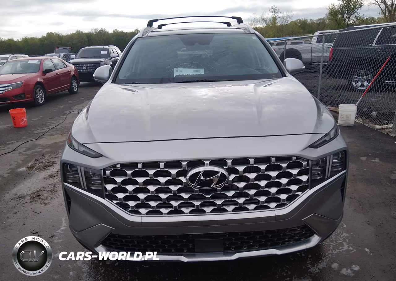 2023 Hyundai Santa Fe Limited VIN:5NMS4DAL9PH577536 - 12