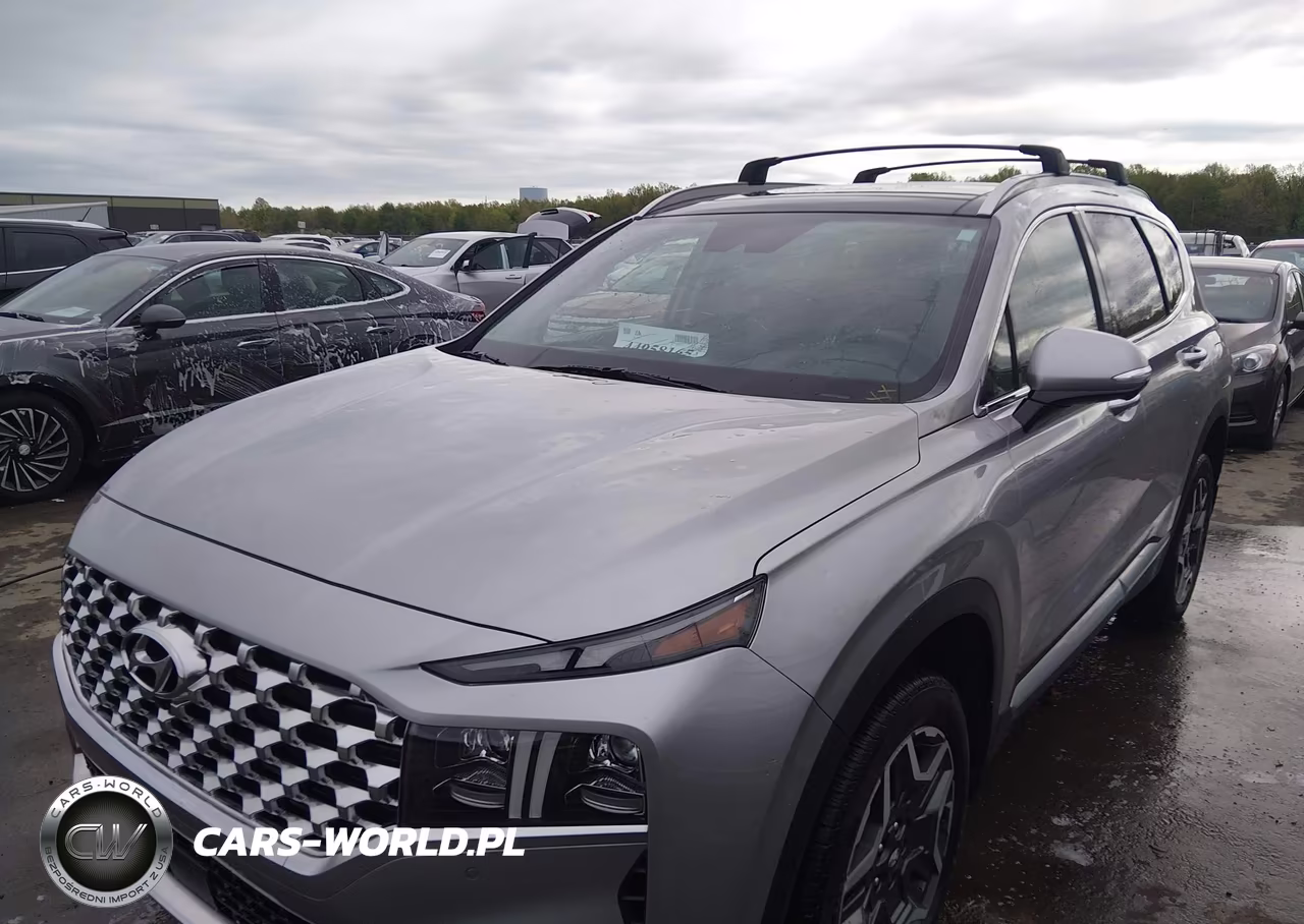 2023 Hyundai Santa Fe Limited VIN:5NMS4DAL9PH577536 - 6