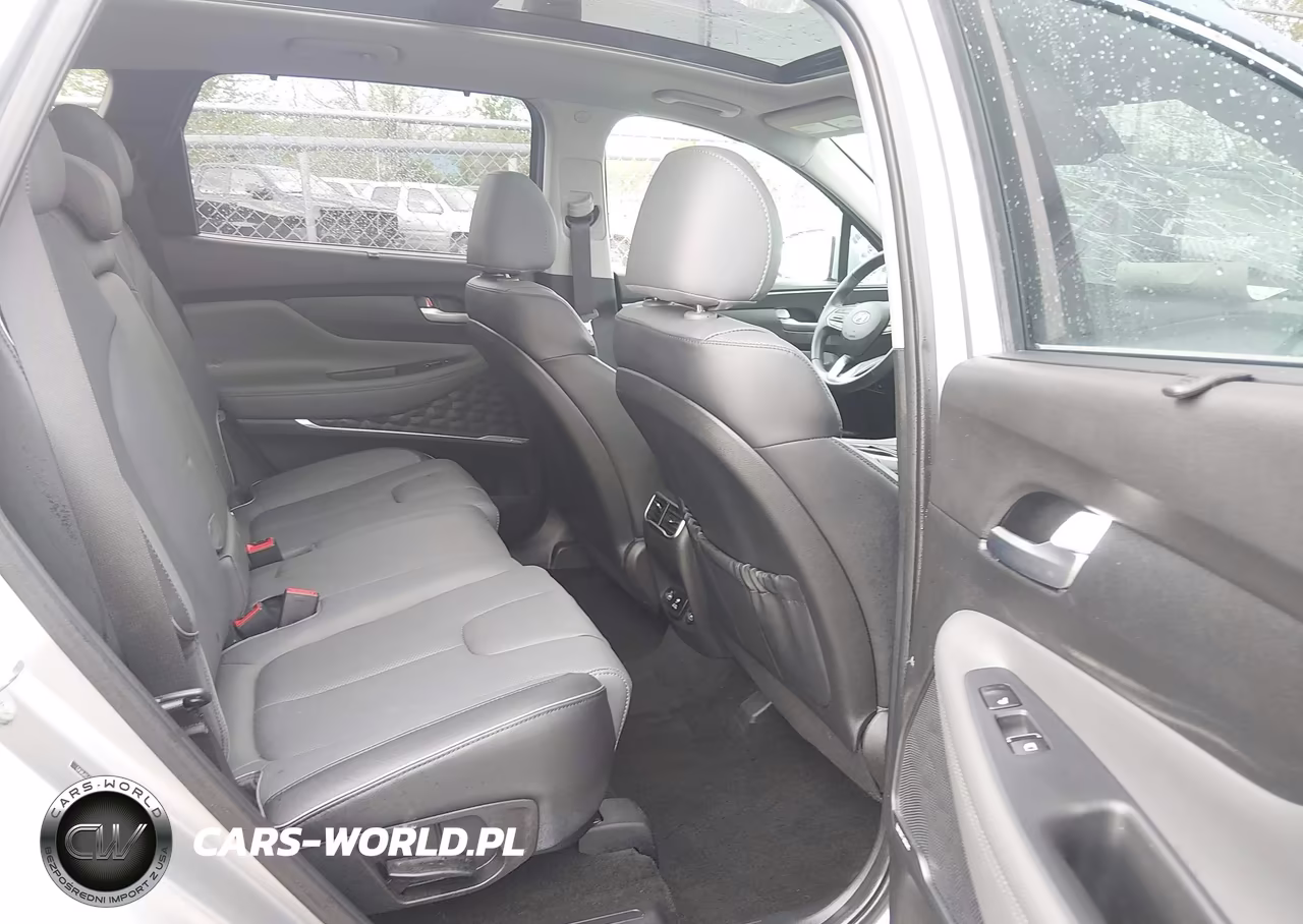 2023 Hyundai Santa Fe Limited VIN:5NMS4DAL9PH577536 - 8