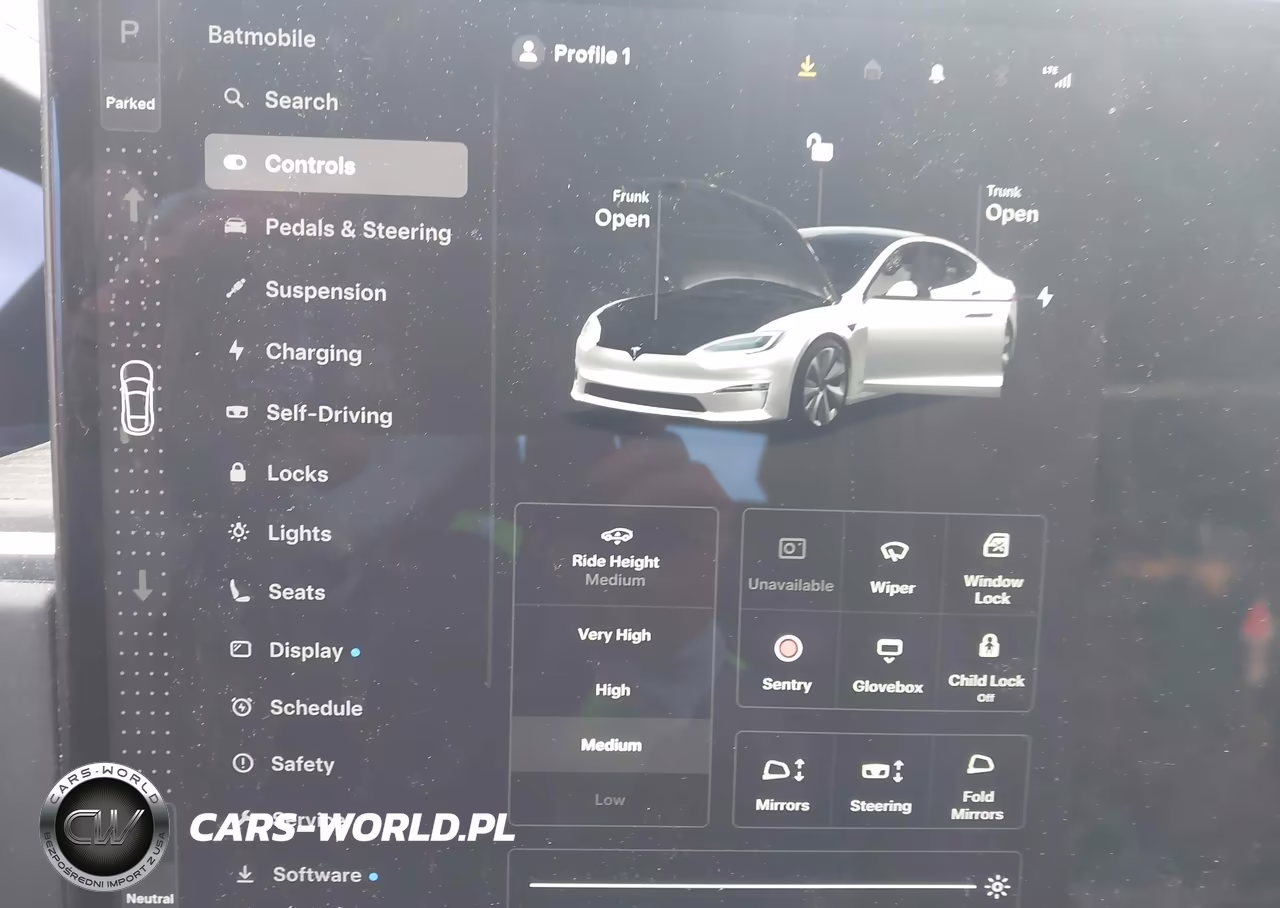 2021 Tesla Model S Long Range Dual Motor All-Wheel Drive VIN:5YJSA1E59MF440936 - 17