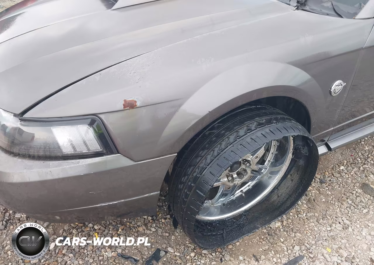 2004 Ford Mustang Gt VIN:1FAFP42X24F183658 - 6