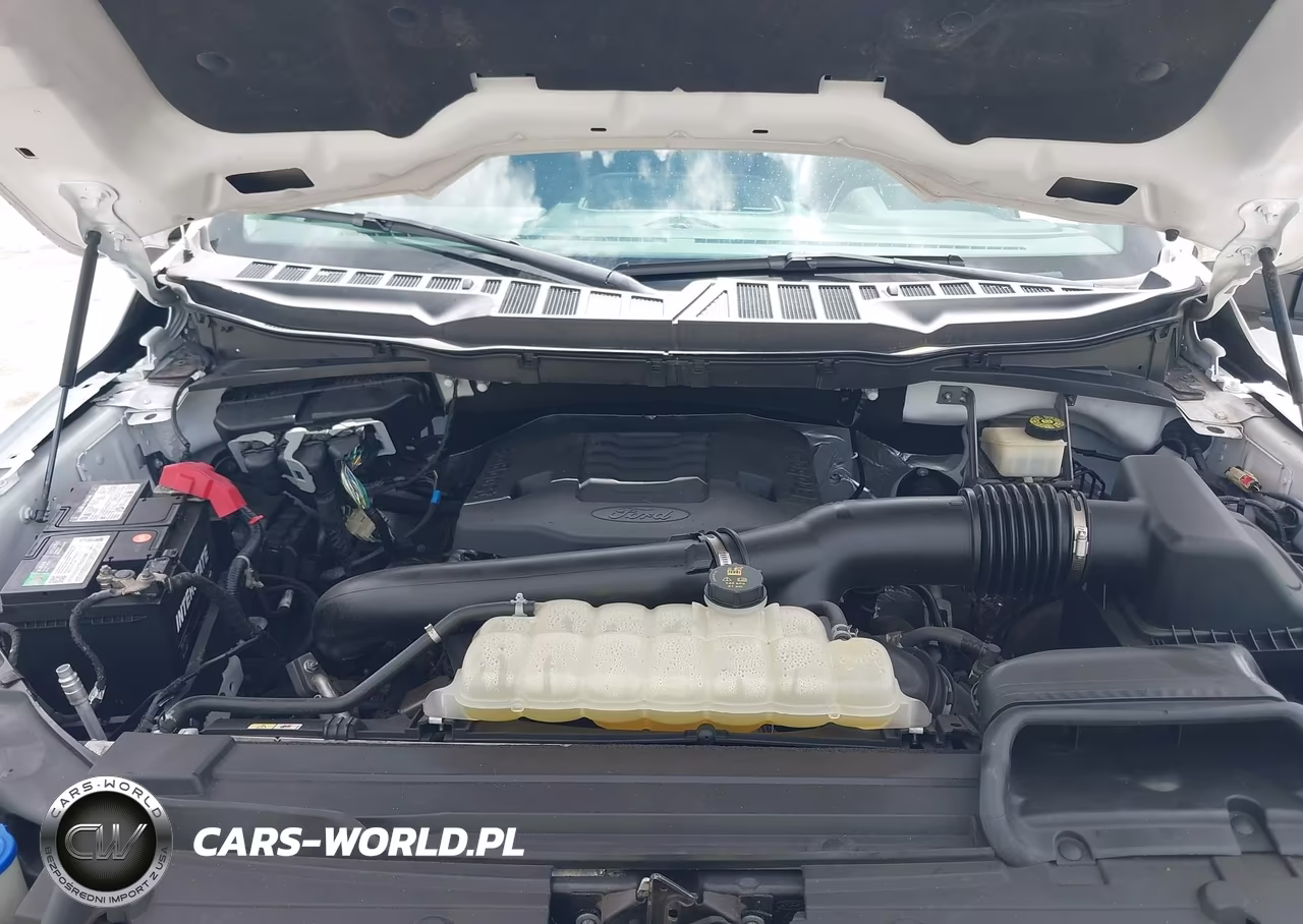 2023 Ford F150 Supercrew VIN:1FTEW1C87PKD69593 - 10