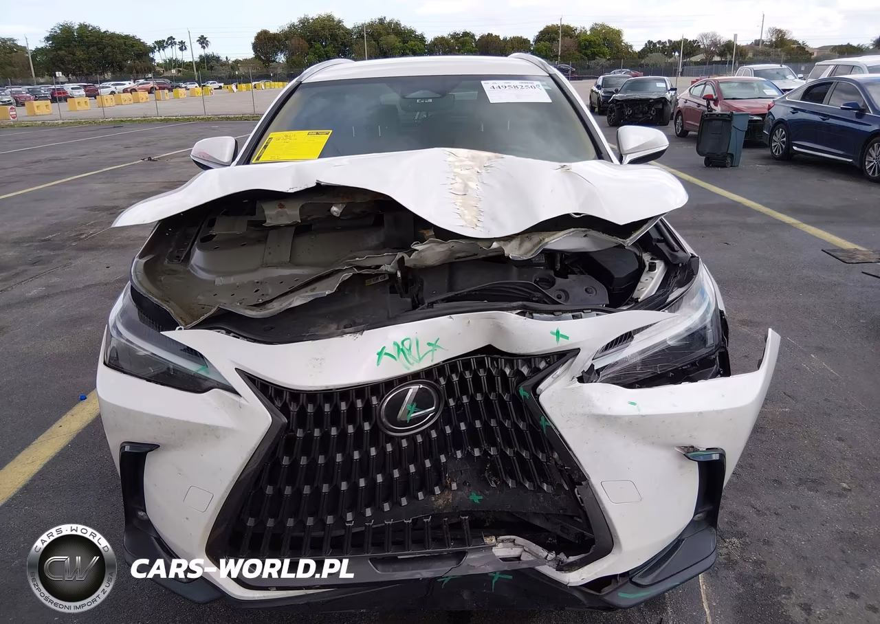 2022 Lexus Nx 250 VIN:2T2ADCAZXNC001818 - 12