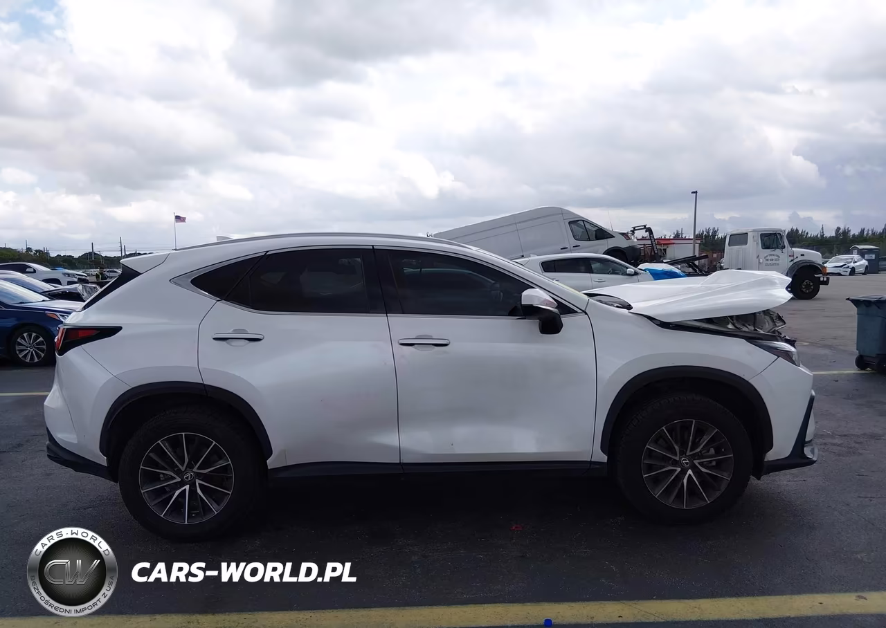 2022 Lexus Nx 250 VIN:2T2ADCAZXNC001818 - 13