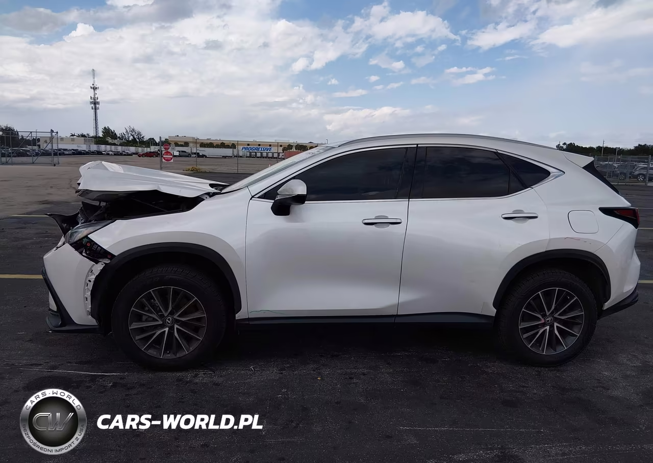 2022 Lexus Nx 250 VIN:2T2ADCAZXNC001818 - 14