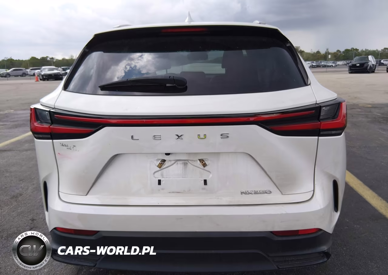 2022 Lexus Nx 250 VIN:2T2ADCAZXNC001818 - 16