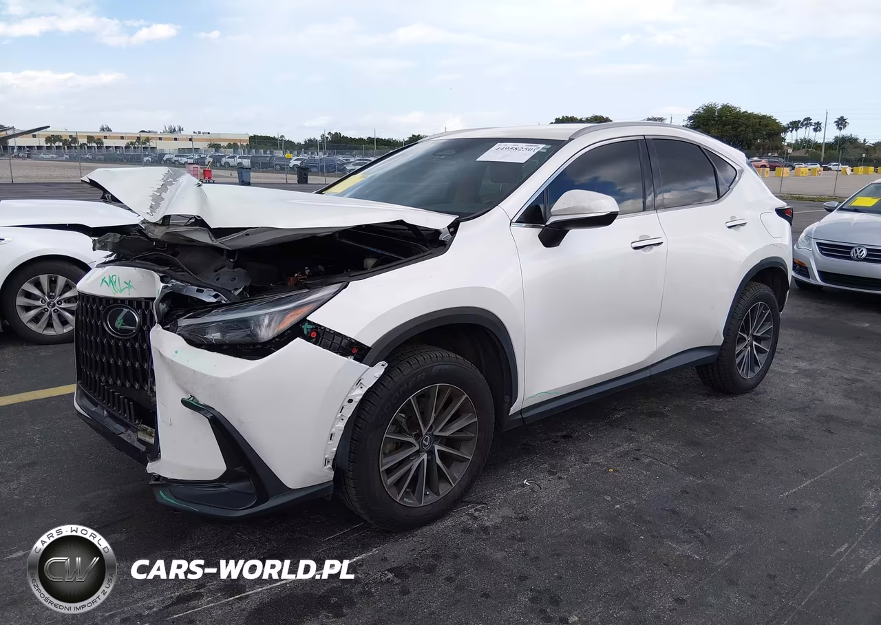 2022 Lexus Nx 250 VIN:2T2ADCAZXNC001818 - 2