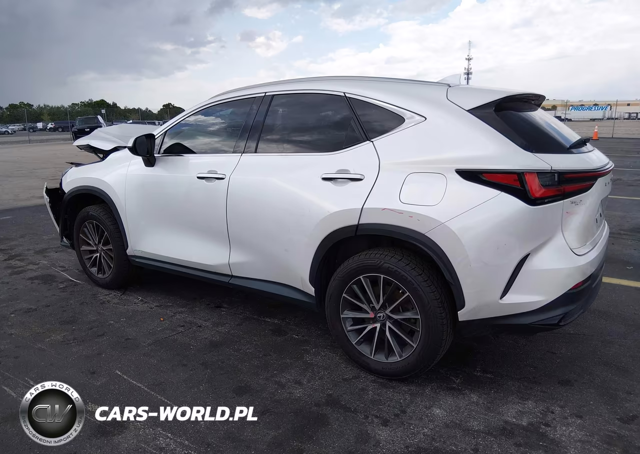 2022 Lexus Nx 250 VIN:2T2ADCAZXNC001818 - 3