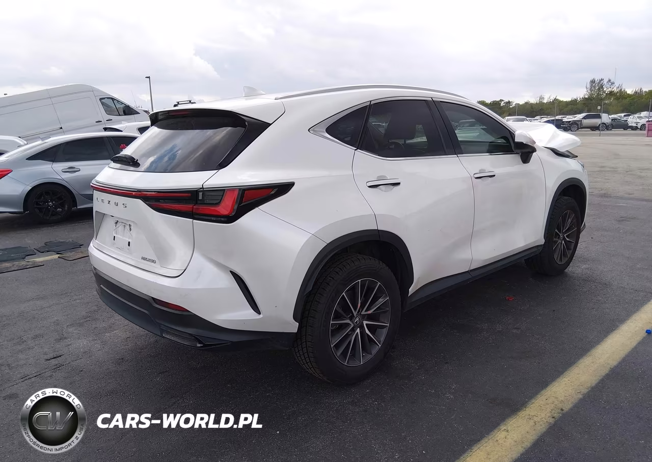 2022 Lexus Nx 250 VIN:2T2ADCAZXNC001818 - 4