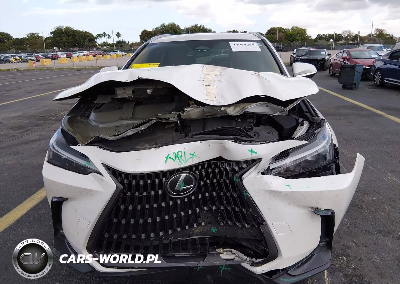 2022 Lexus Nx 250 VIN:2T2ADCAZXNC001818 - 6