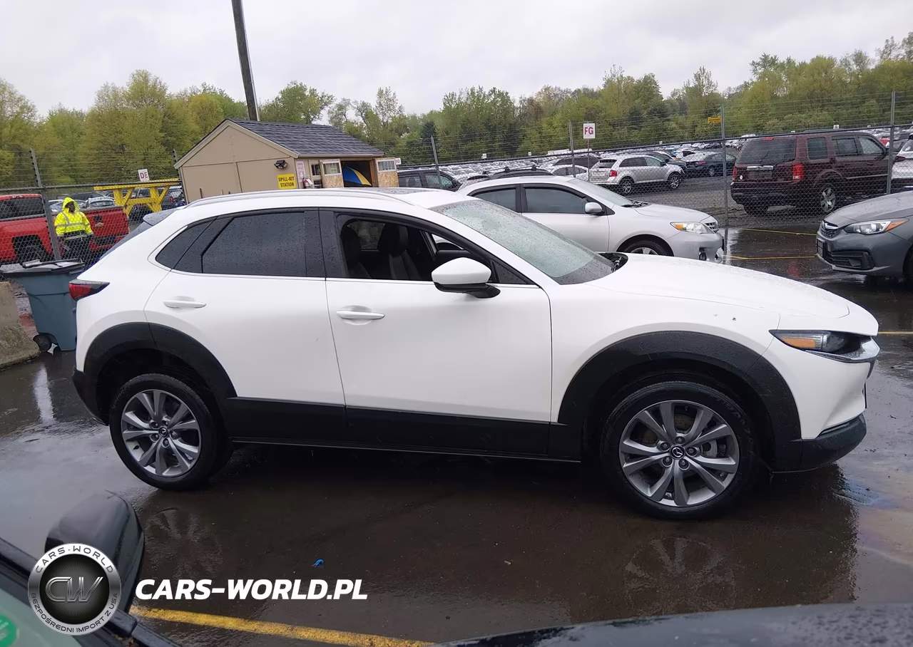 2023 Mazda Cx-30 2.5 S Premium VIN:3MVDMBDM7PM517669 - 13