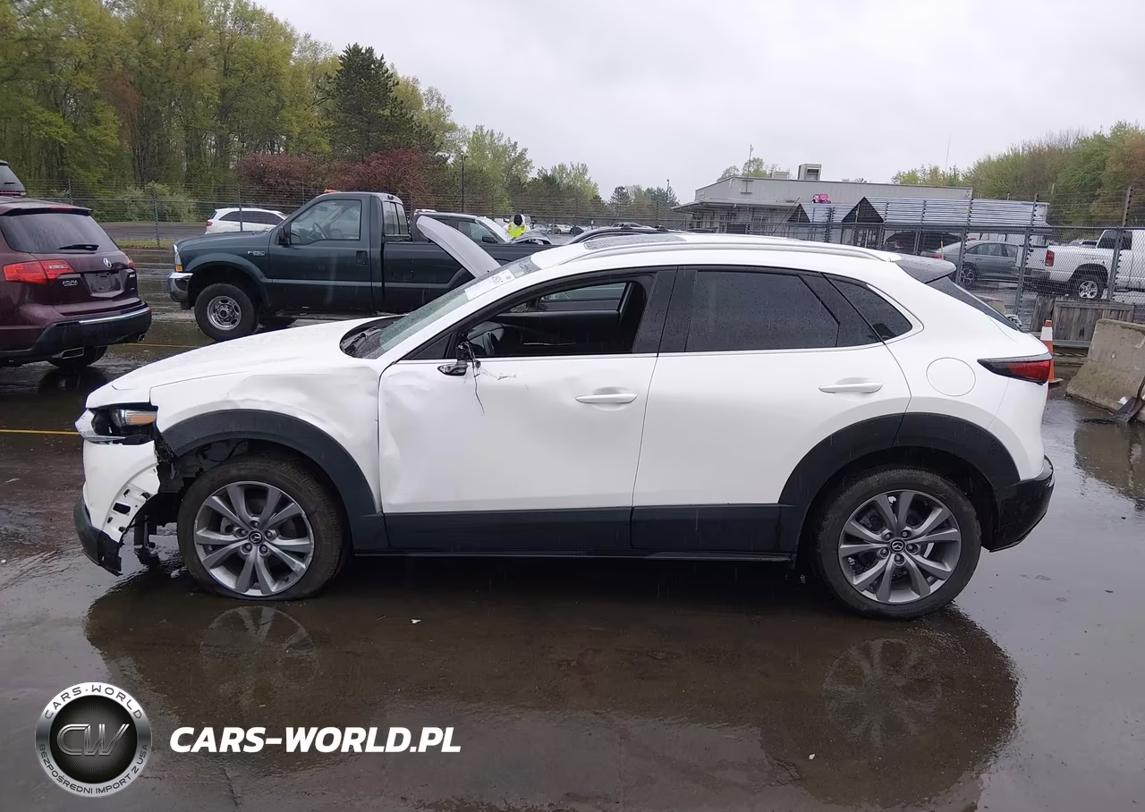 2023 Mazda Cx-30 2.5 S Premium VIN:3MVDMBDM7PM517669 - 14