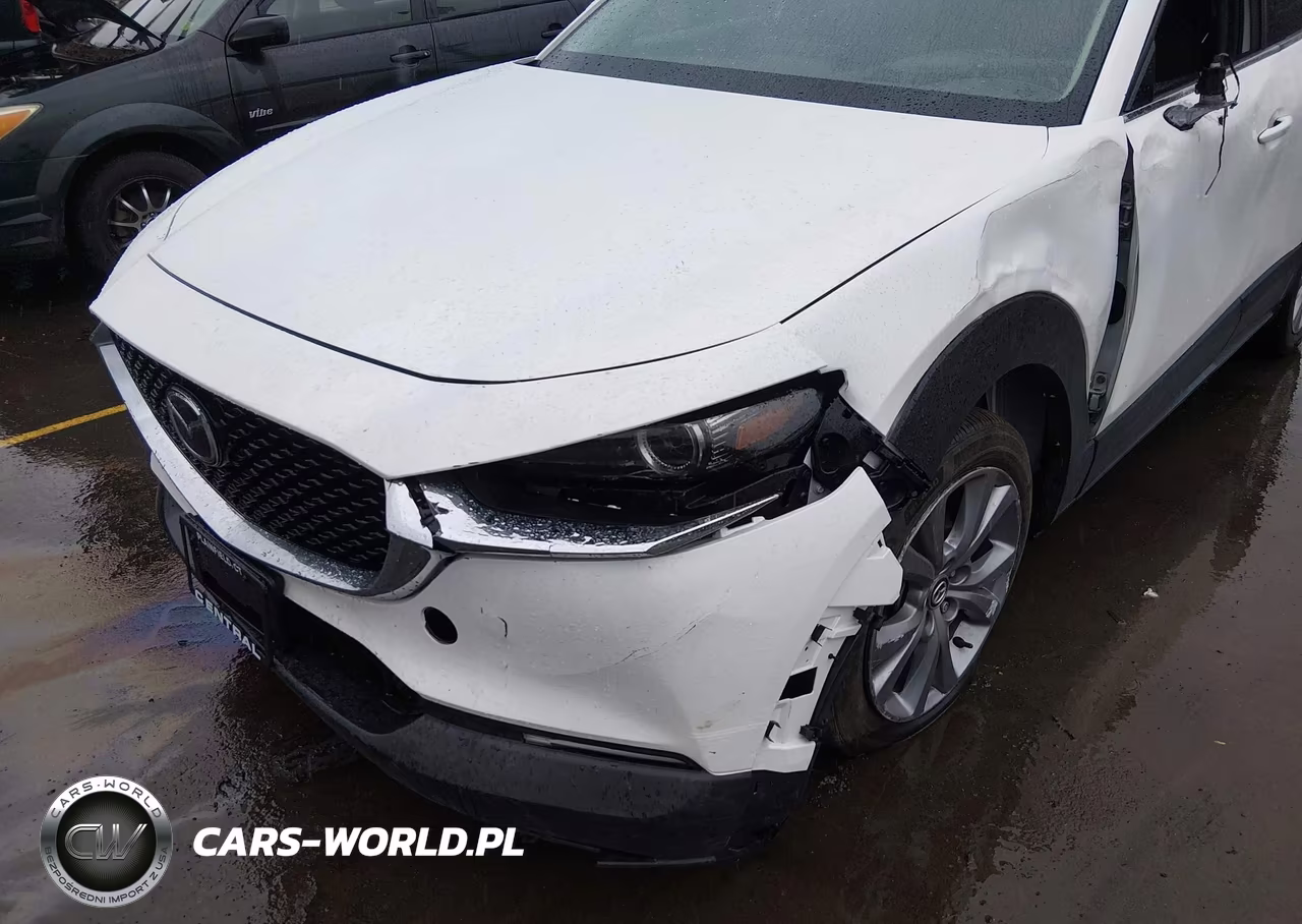 2023 Mazda Cx-30 2.5 S Premium VIN:3MVDMBDM7PM517669 - 17