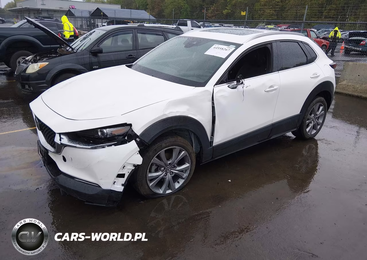 2023 Mazda Cx-30 2.5 S Premium VIN:3MVDMBDM7PM517669 - 2