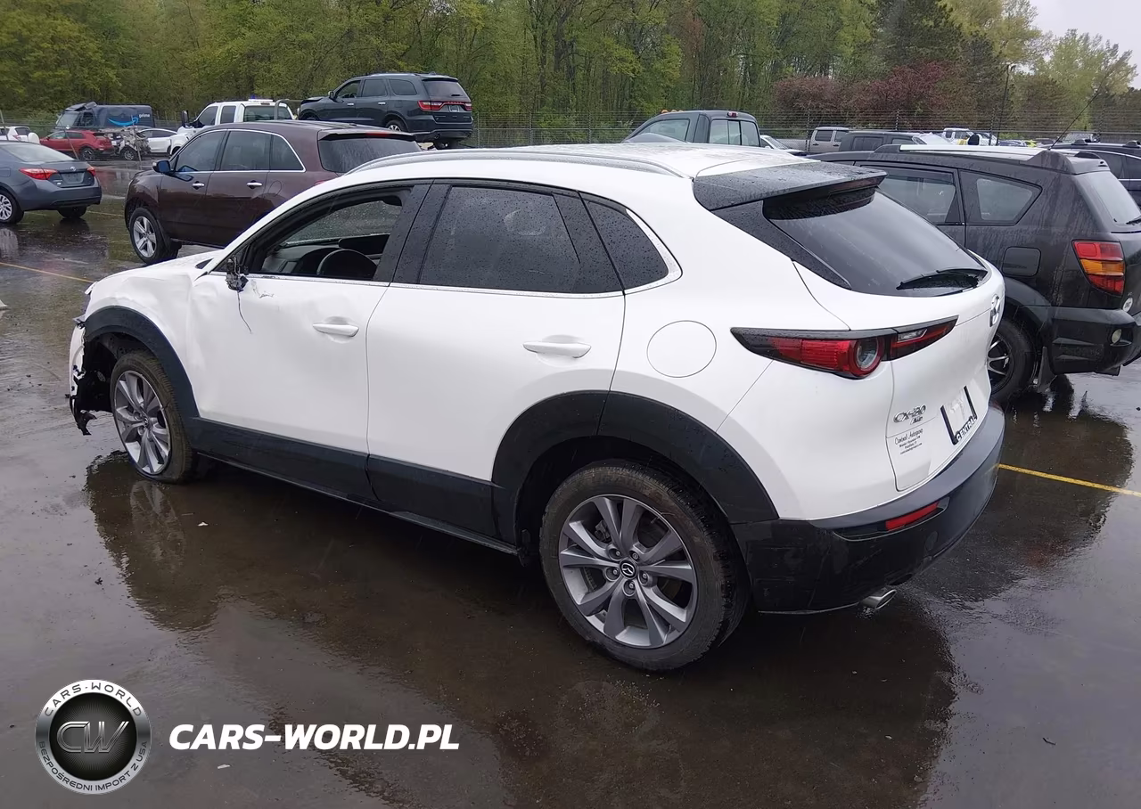 2023 Mazda Cx-30 2.5 S Premium VIN:3MVDMBDM7PM517669 - 3