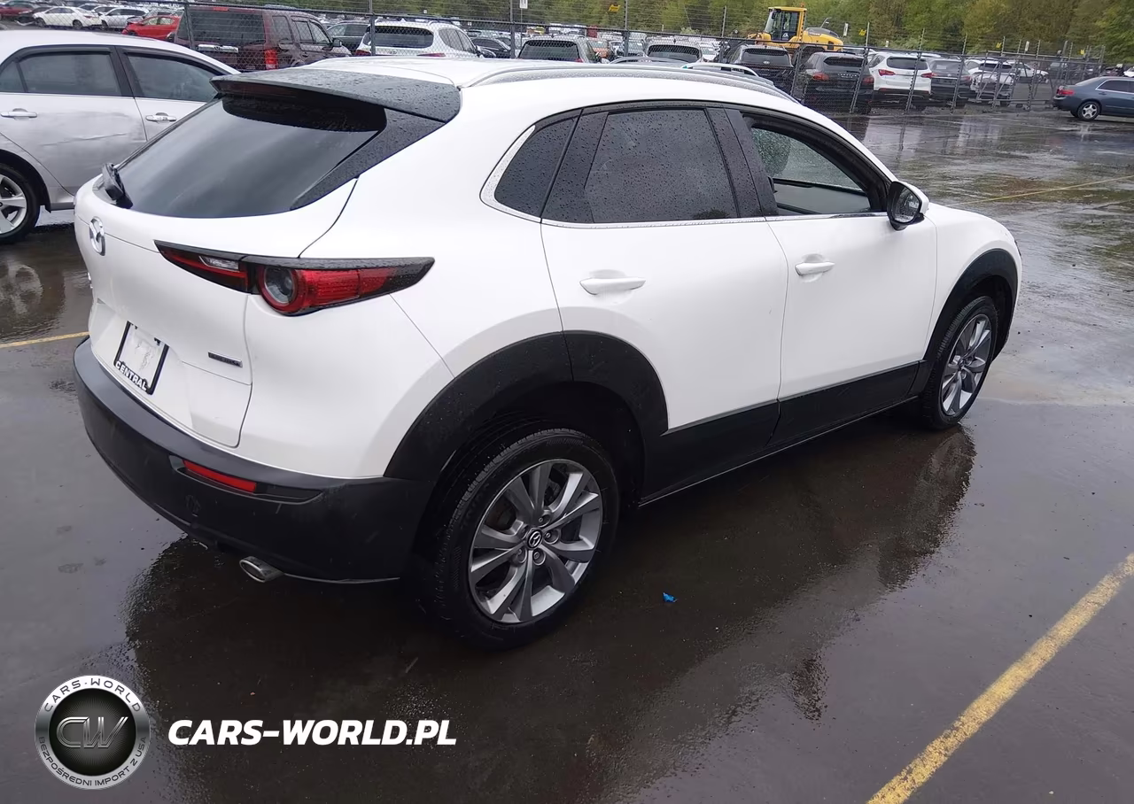 2023 Mazda Cx-30 2.5 S Premium VIN:3MVDMBDM7PM517669 - 4