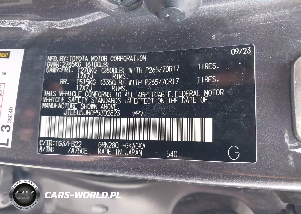2023 Toyota 4Runner Sr5 VIN:JTEEU5JR0P5302823 - 9