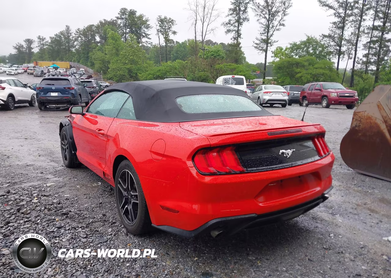 2023 Ford Mustang Ecoboost -Ecoboost Premium VIN:1FATP8UH7P5110523 - 3