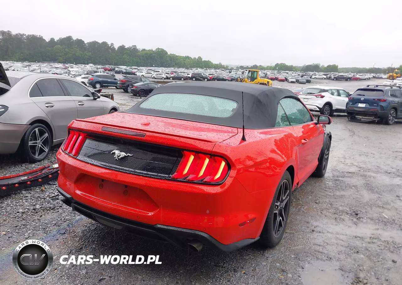 2023 Ford Mustang Ecoboost -Ecoboost Premium VIN:1FATP8UH7P5110523 - 4