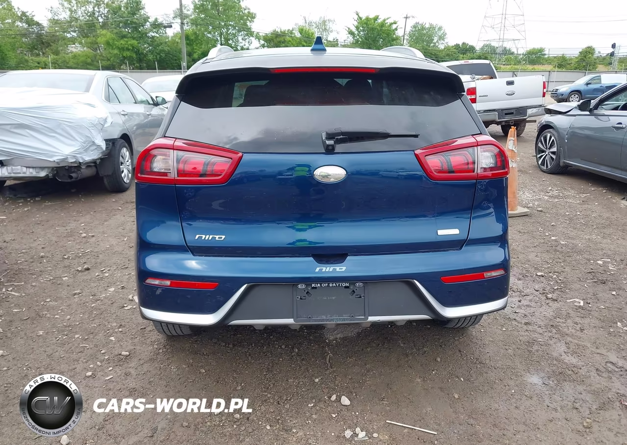 2018 Kia Niro Lx VIN:KNDCB3LC1J5153991 - 17
