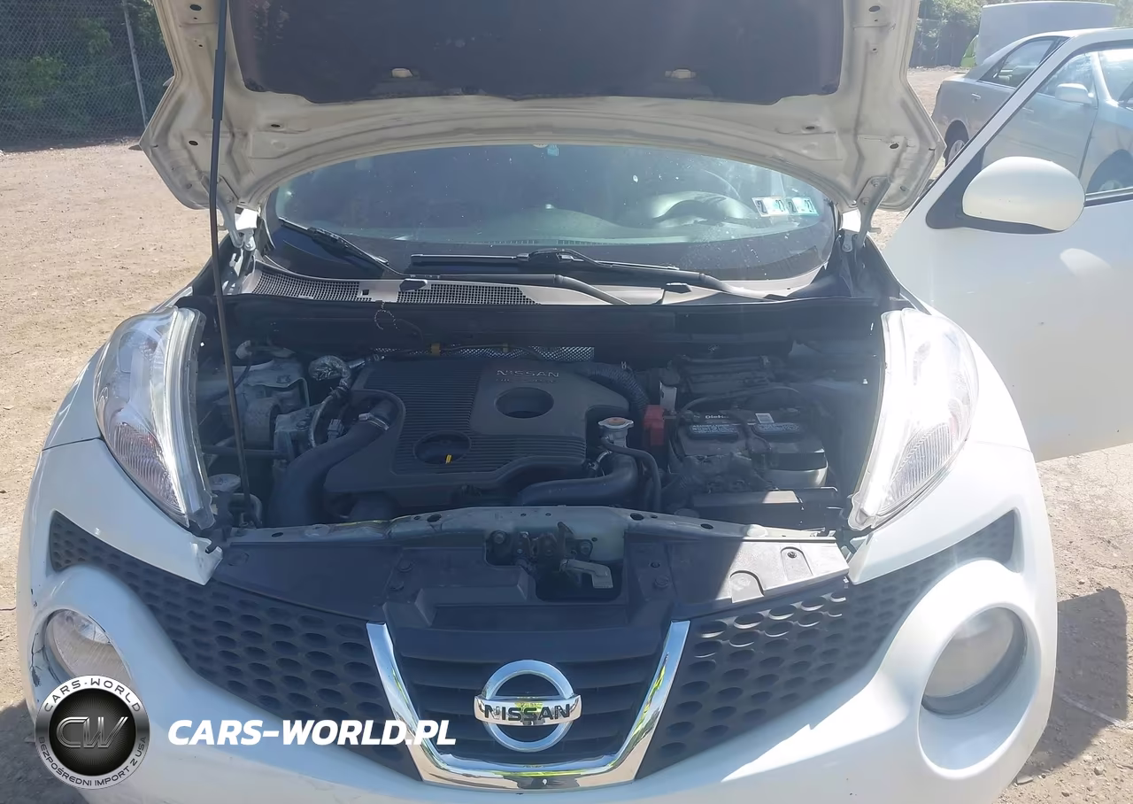 2011 Nissan Juke Sv VIN:JN8AF5MR0BT003396 - 10