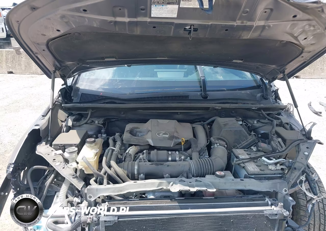 2020 Lexus Nx 300 F Sport VIN:JTJSARBZ4L2159938 - 10