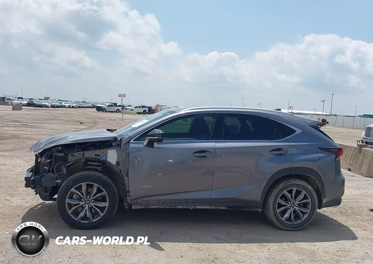 2020 Lexus Nx 300 F Sport VIN:JTJSARBZ4L2159938 - 15
