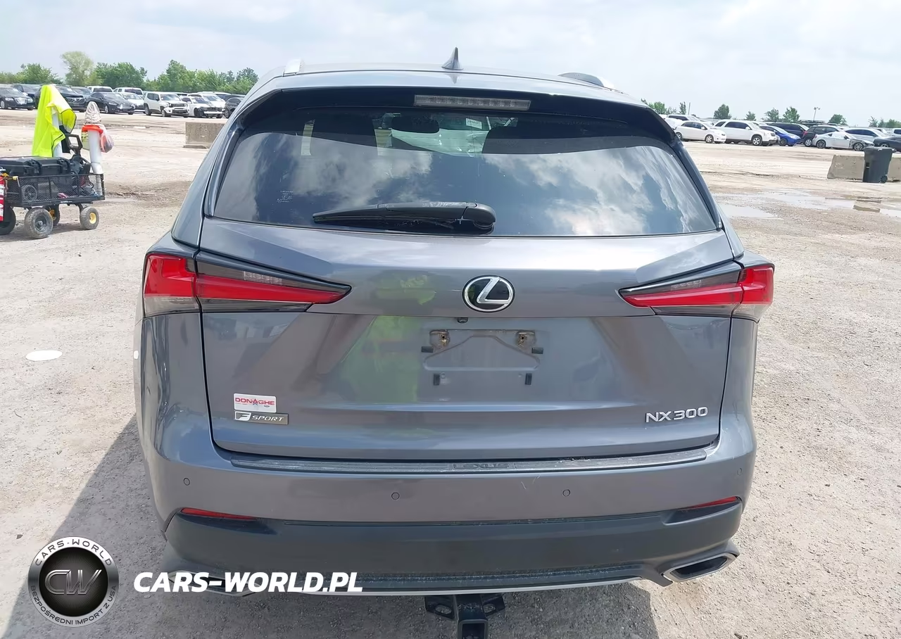 2020 Lexus Nx 300 F Sport VIN:JTJSARBZ4L2159938 - 17