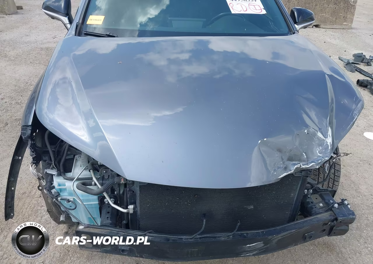 2020 Lexus Nx 300 F Sport VIN:JTJSARBZ4L2159938 - 19