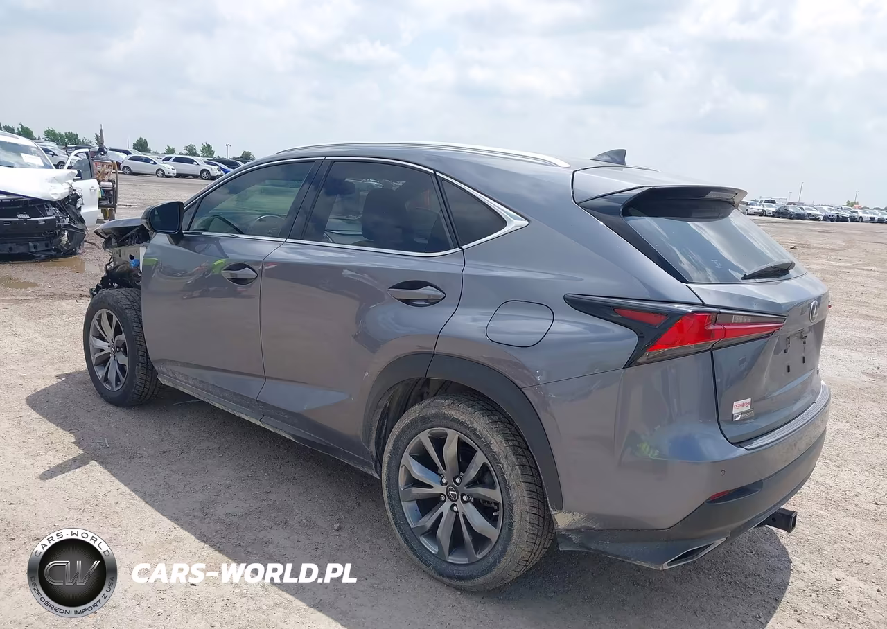 2020 Lexus Nx 300 F Sport VIN:JTJSARBZ4L2159938 - 3