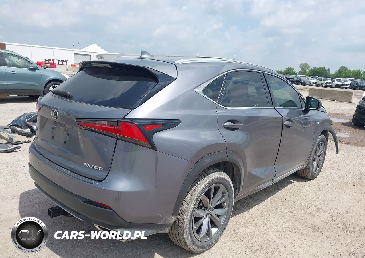 2020 Lexus Nx 300 F Sport VIN:JTJSARBZ4L2159938 - 4