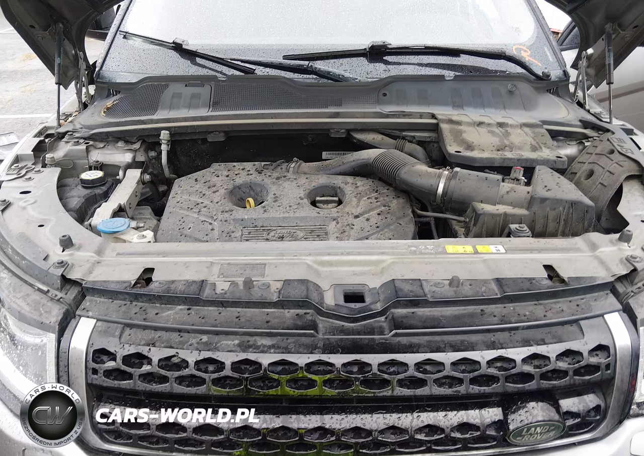 2017 Land Rover Range Rover Evoque Se-Se Premium VIN:SALVP2BG5HH250881 - 10
