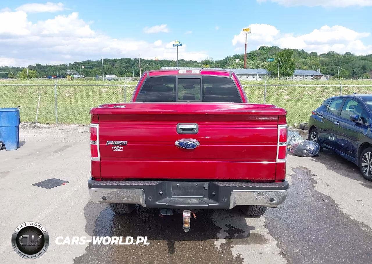 2013 Ford F-150 Xlt VIN:1FTFW1ET6DFD03420 - 17