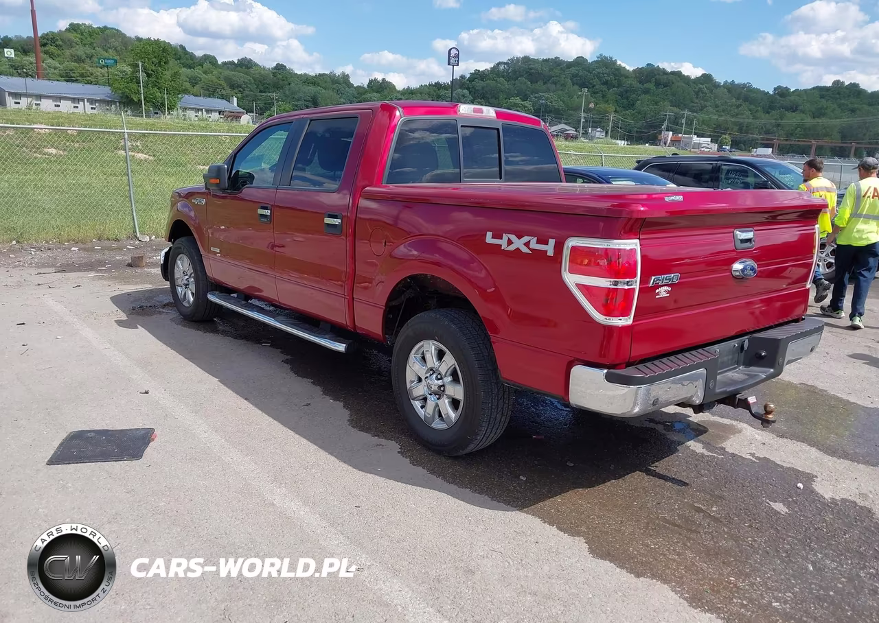 2013 Ford F-150 Xlt VIN:1FTFW1ET6DFD03420 - 3