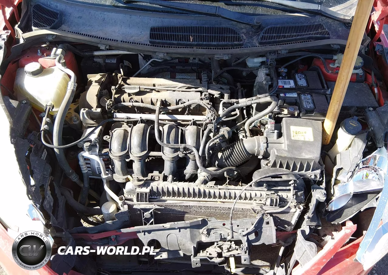 2013 Ford Fiesta Se VIN:3FADP4BJ9DM158856 - 10