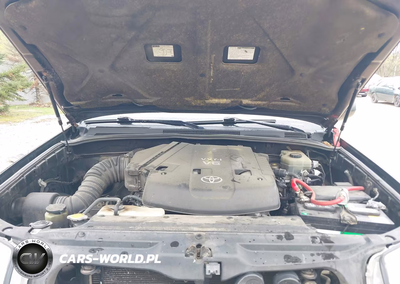 2004 Toyota 4Runner Sr5 V6 VIN:JTEBU14R440046640 - 10