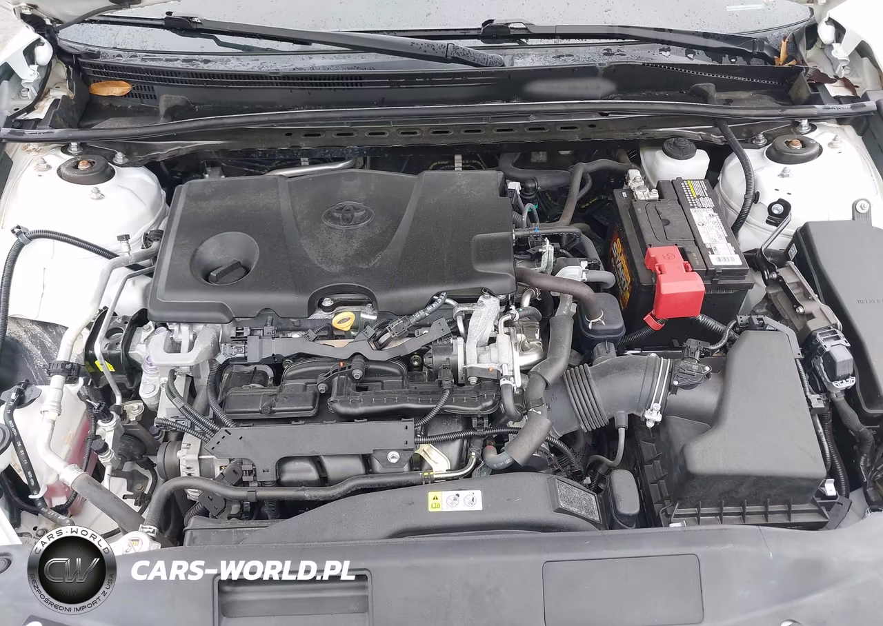 2019 Toyota Camry Se VIN:4T1B11HK1KU844427 - 10