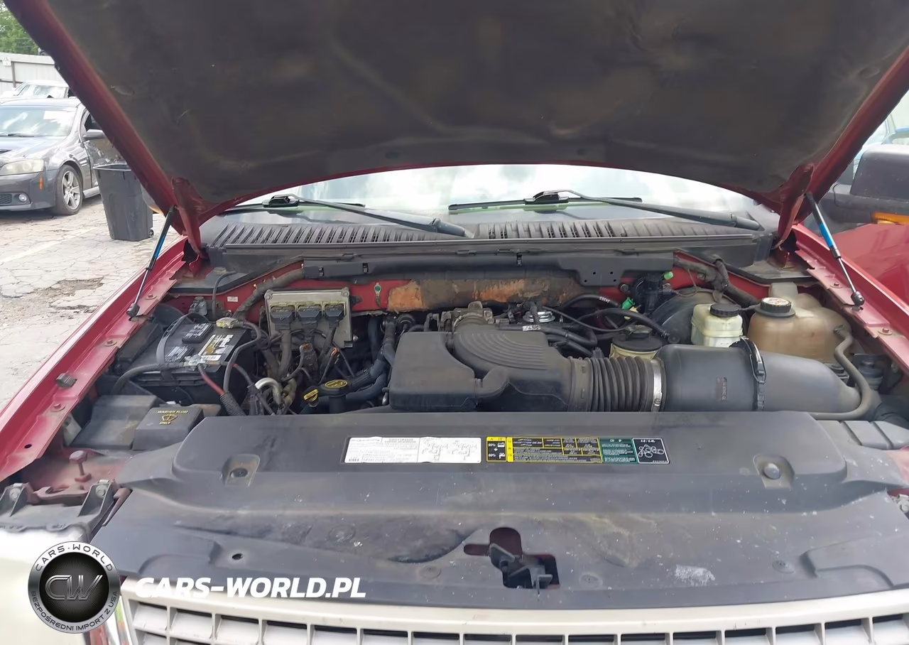 2004 Ford Expedition Eddie Bauer VIN:1FMFU18L44LB02775 - 10