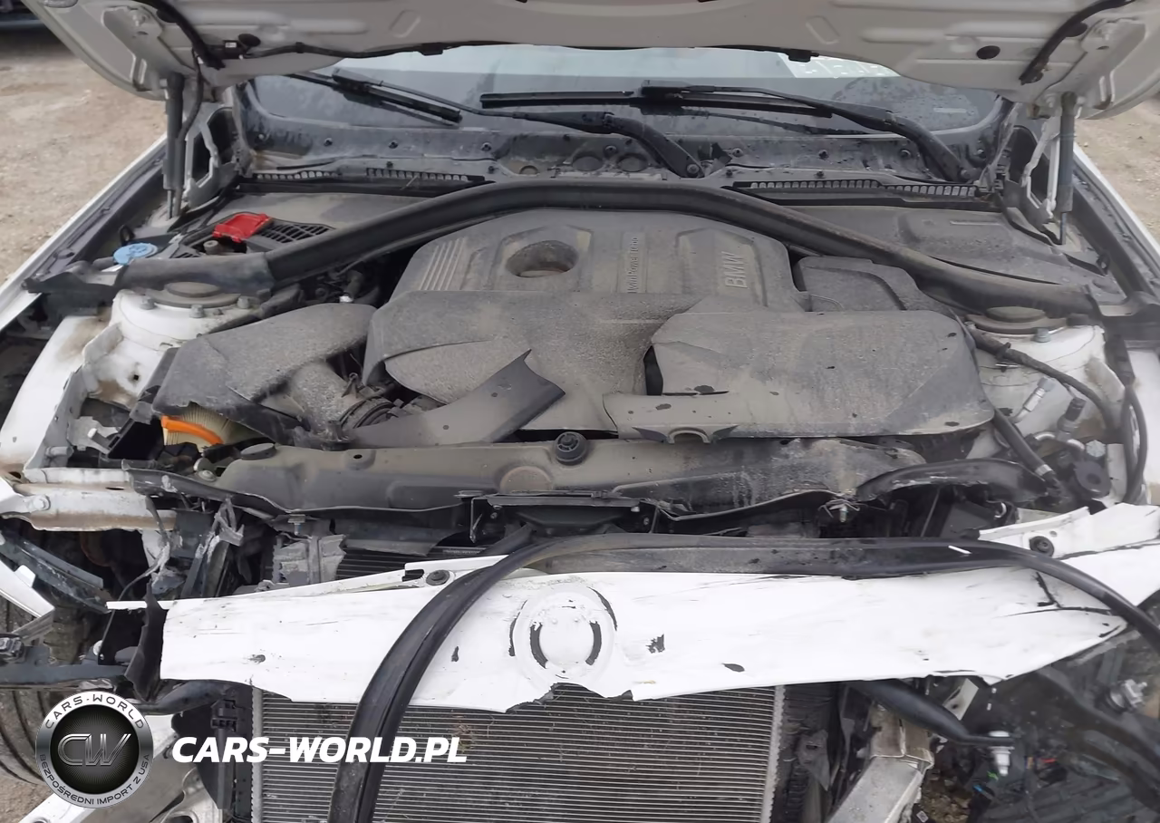 2019 BMW 430I VIN:WBA4W3C51KAF92434 - 10