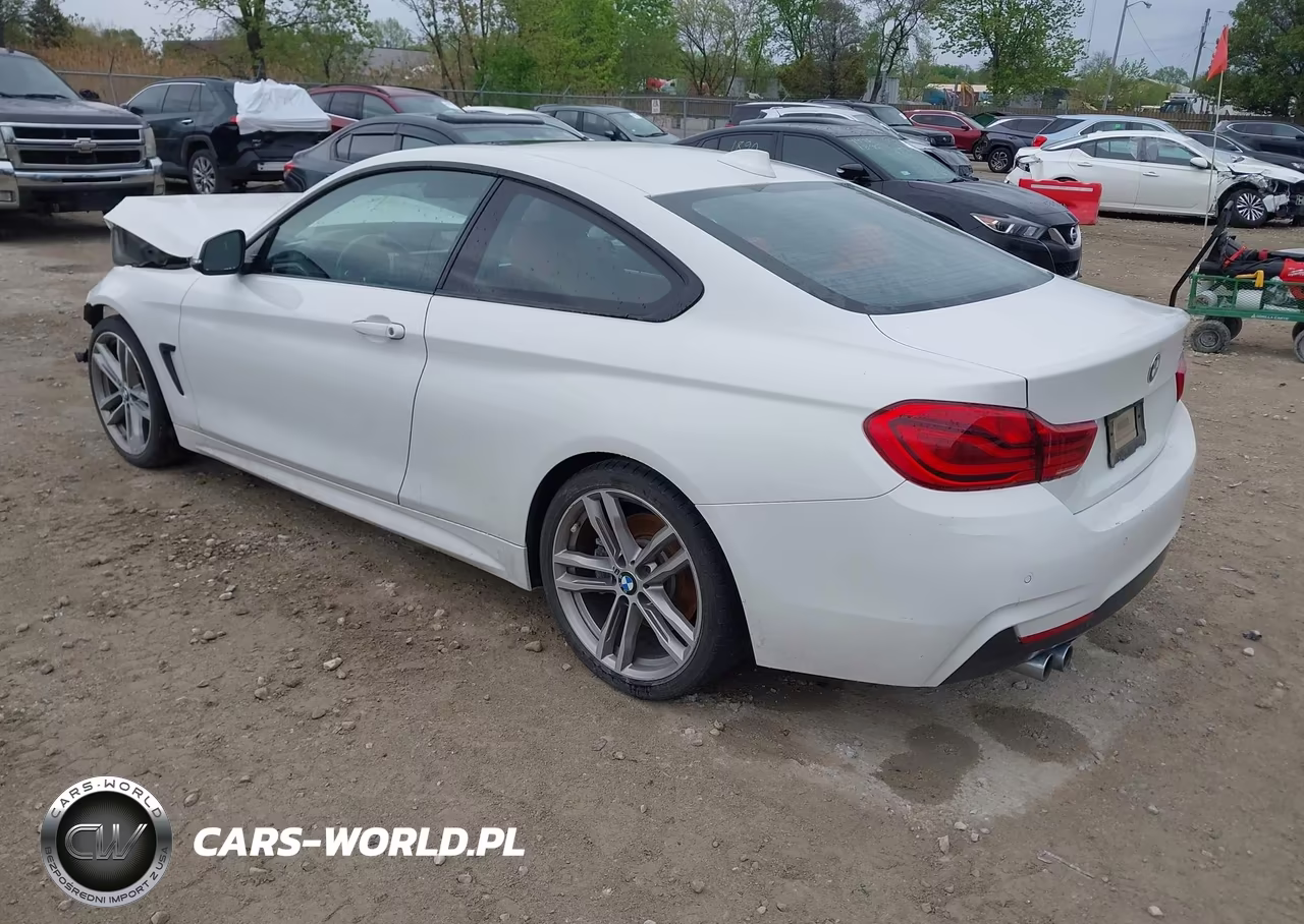 2019 BMW 430I VIN:WBA4W3C51KAF92434 - 3