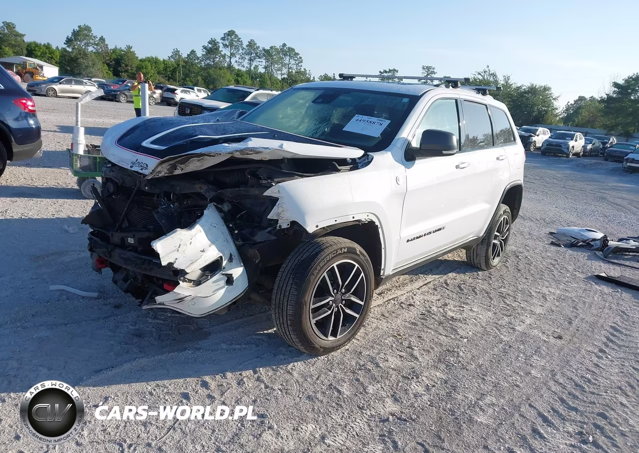 2019 Jeep Grand Cherokee Trailhawk 4X4 VIN:1C4RJFLG0KC541194 - 2