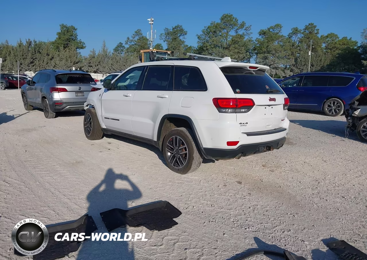 2019 Jeep Grand Cherokee Trailhawk 4X4 VIN:1C4RJFLG0KC541194 - 3