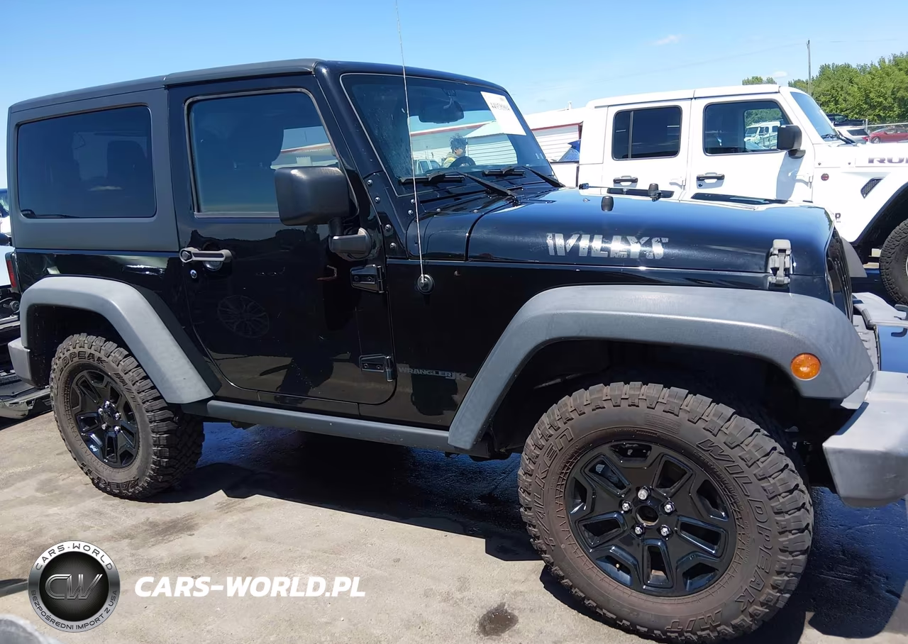 2018 Jeep Wrangler Jk Willy Wheeler W 4X4 VIN:1C4AJWAG2JL828745 - 13