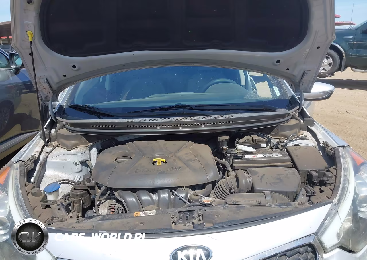 2016 Kia Forte Lx VIN:KNAFX4A68G5446679 - 10