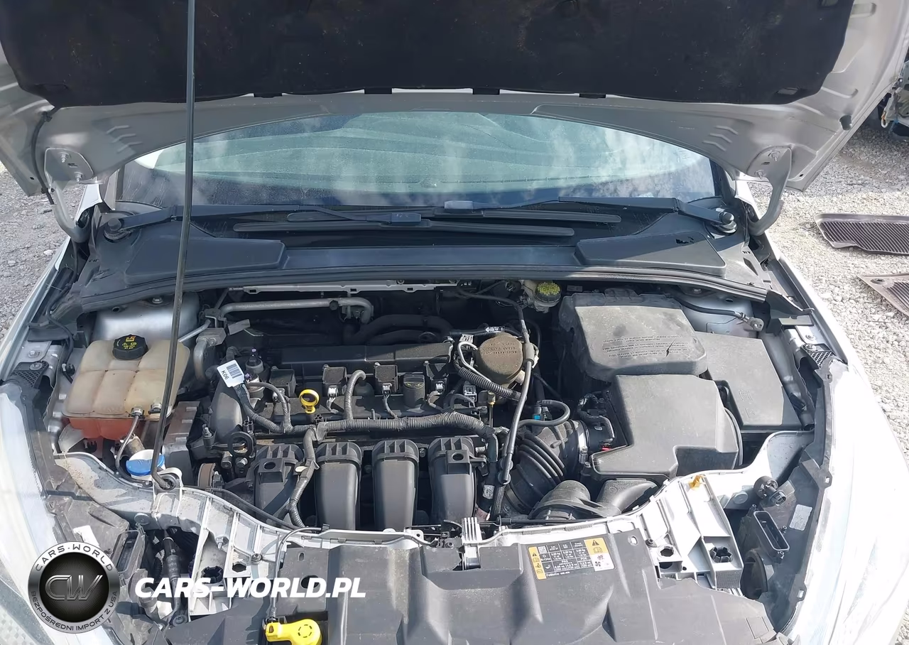 2016 Ford Focus Se VIN:1FADP3F27GL244671 - 10