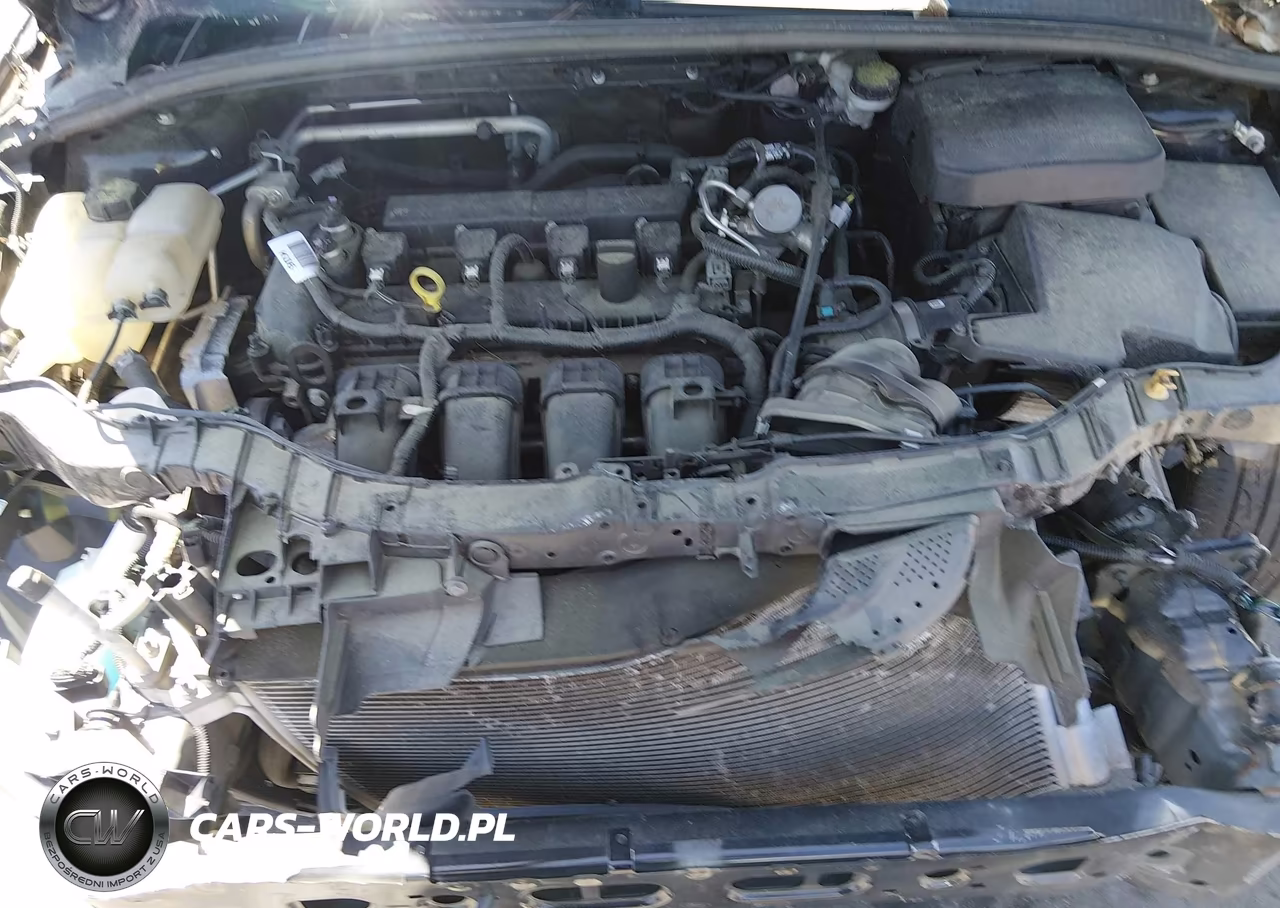 2016 Ford Focus Se VIN:1FADP3F25GL355073 - 10